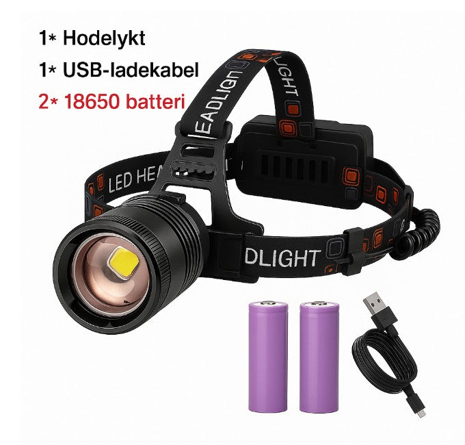 Hodelykt