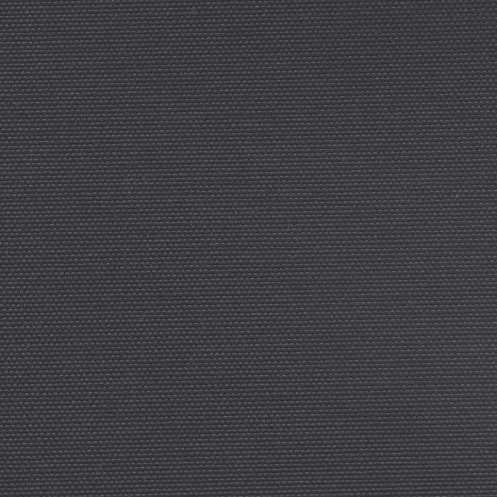 Uttrekkbar sidemarkise svart 160x300 cm