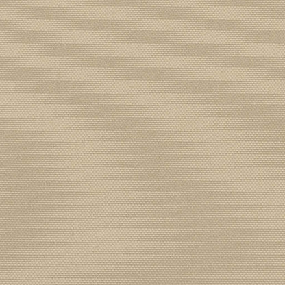 Uttrekkbar sidemarkise beige 170x300 cm